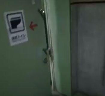 I_am_trying_ to_eat_here.jpg